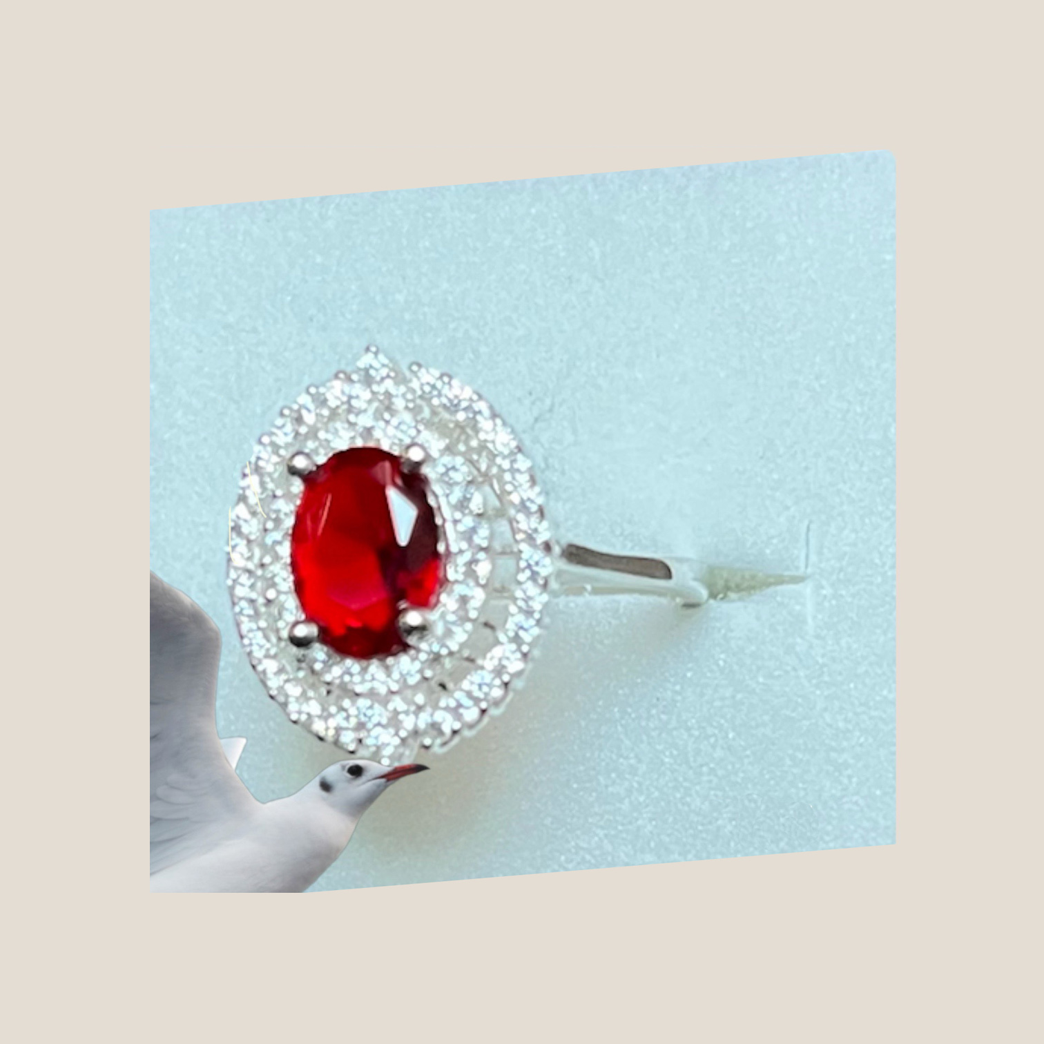 Anillo rojo