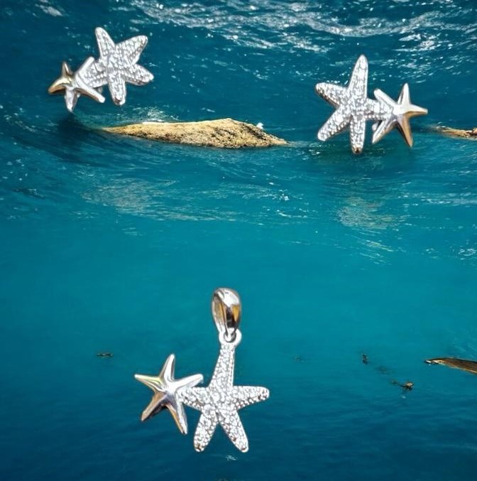 Juego Estrella Marina